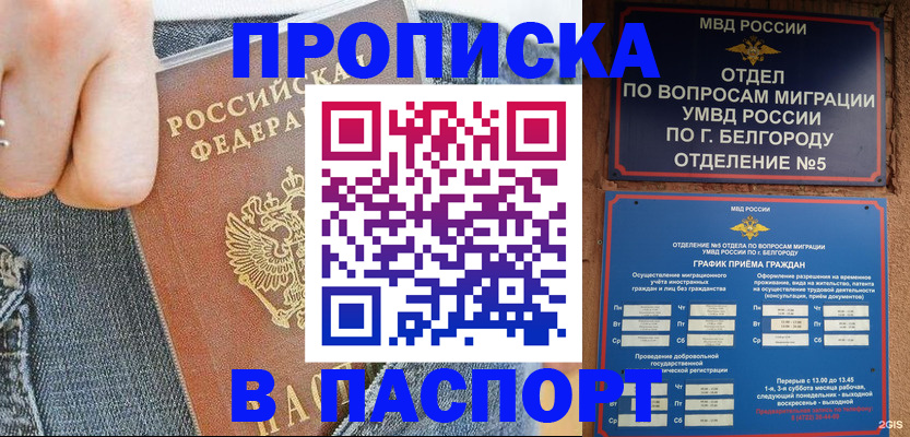 помощь с регистрацией через МФЦ в Саяногорске